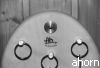 ahorn